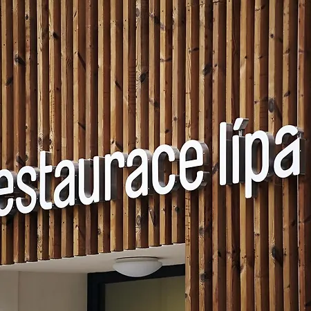 Lipa