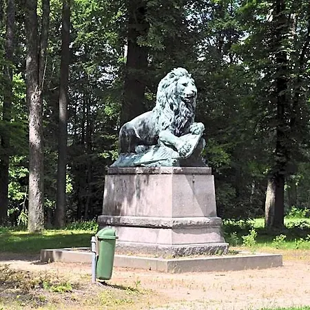 Lipa 4* Krásná Lípa