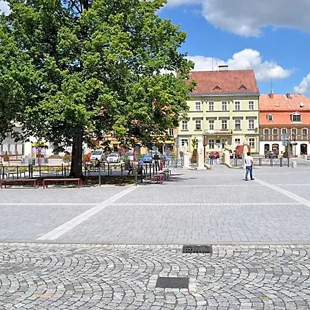 Lipa Apart Otel Krásná Lípa