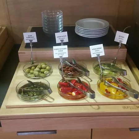 Lipa Appart hôtel Krásná Lípa