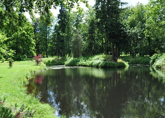 Lipa 4* Krásná Lípa